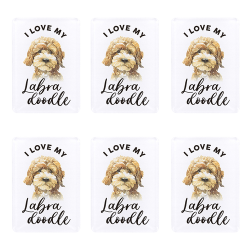 6PK Splosh Pet Lovers Labradoodle 7cm Acrylic Magnet Fridge Decor - White