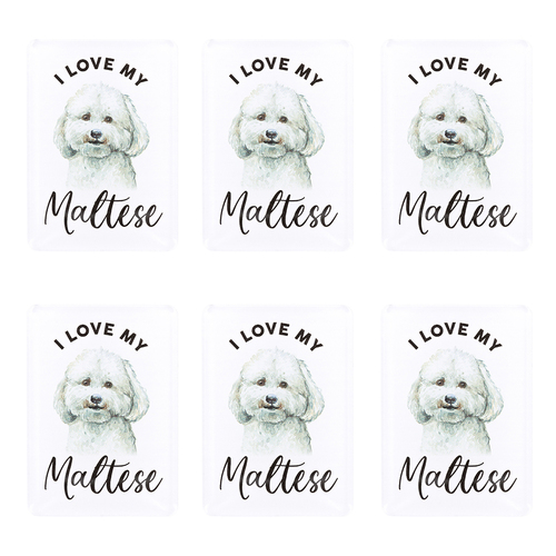 6PK Splosh Pet Lovers Maltese 7cm Acrylic Magnet Fridge Decor - White