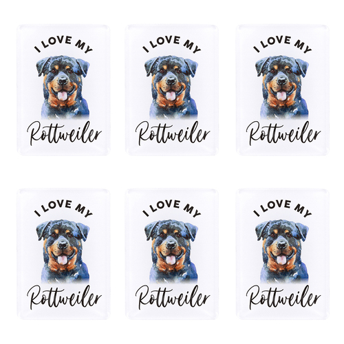 6PK Splosh Pet Lovers Rottweiler 7cm Acrylic Magnet Fridge Decor - White