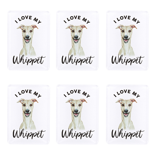 6PK Splosh Pet Lovers Whippet 7cm Acrylic Magnet Fridge Decor - White