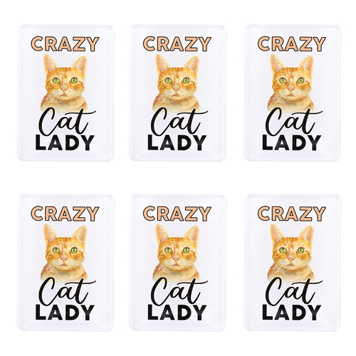 6PK Splosh Pet Lovers Crazy Cat Lady 7cm Acrylic Magnet Fridge Decor - White