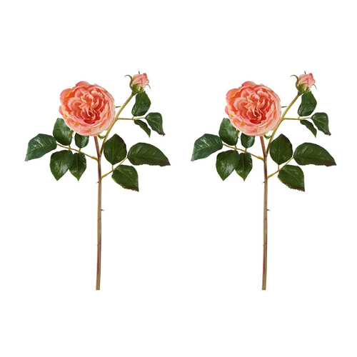 2PK Belle Cabbage Real Touch Rose Stem 49cm Artificial Flower - Coral