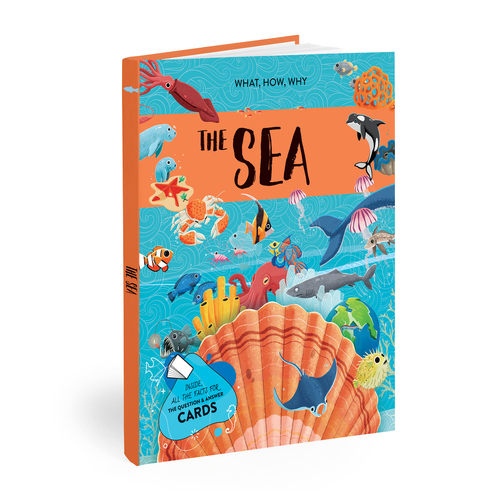 Sassi Book & Poster Kids/Children Learning What How & Why The Sea 6y+