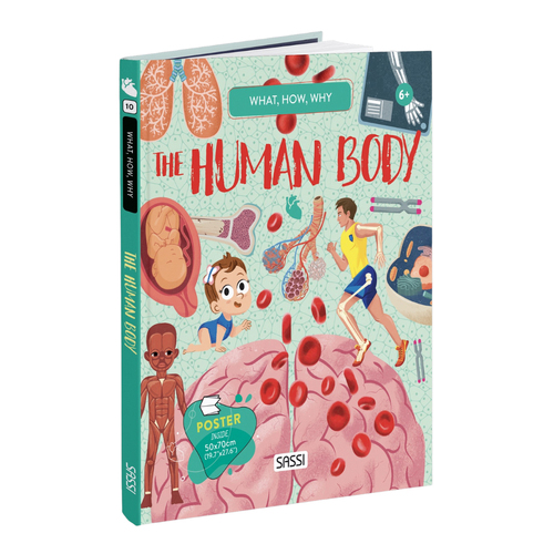 Sassi What How and Why The Human Body Book and Poster