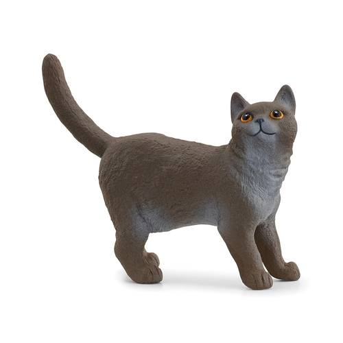 Schleich 2.2'' British Shorthair Cat Animal Action Figure Kids Toy 3-8y