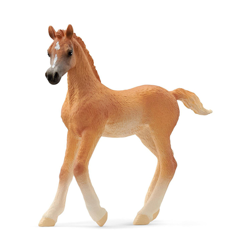 Schleich 3.1'' Arab Foal Animal Action Figure Kids Toy 3-8y