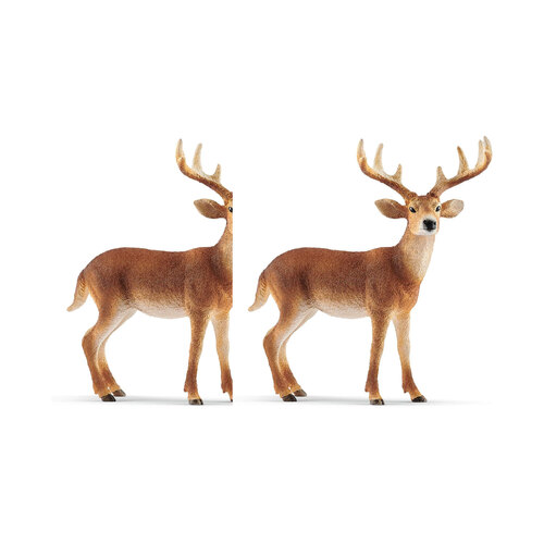 2PK Schleich Kids/Childrens Toy Figurine White-Tailed Buck 3y+