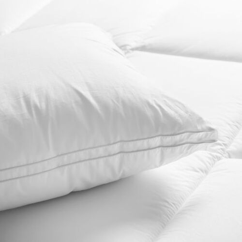 Renee Taylor Firm 48x73cm Down Alternate Standard Pillow - White