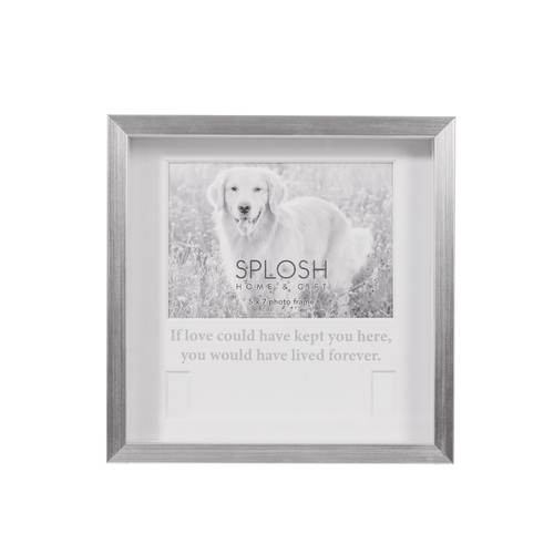 Splosh Sympathy Pet Memorial Collar Frame Standing Display 25cm