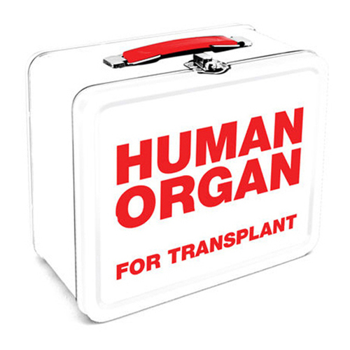 Aquarius Human Organ Transplant Tin Carry All Fun Box - White