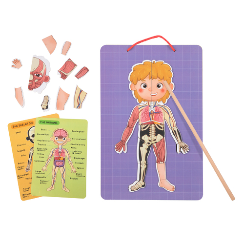 Tooky Toy Magnetic Body Chart