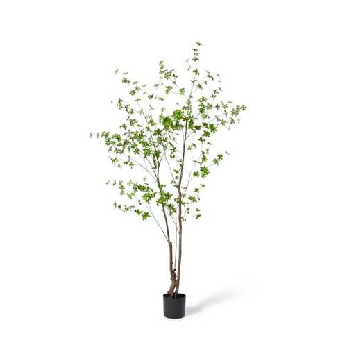 E Style 210cm Pieris Tree Artificial Plant Decor - Dark Green