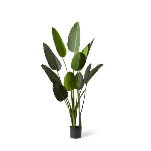 E Style 183cm Bird of Paradise Artificial Potted Plant - Green