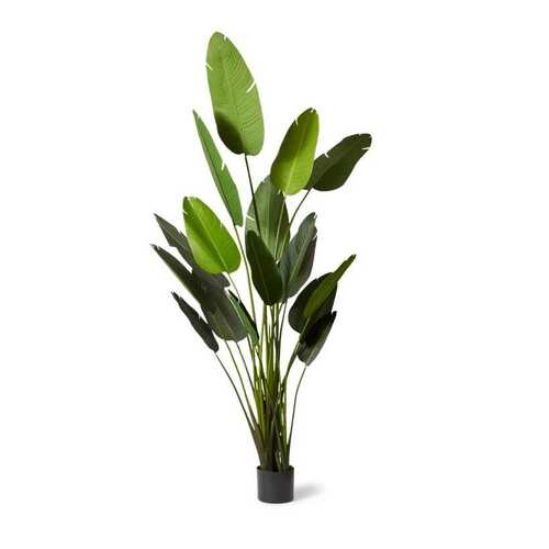 E Style 244cm Bird of Paradise Artificial Potted Plant - Green