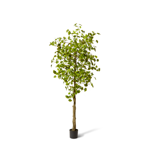 E Style Artificial Ginkgo Tree - 80 x 80 x 213 cm