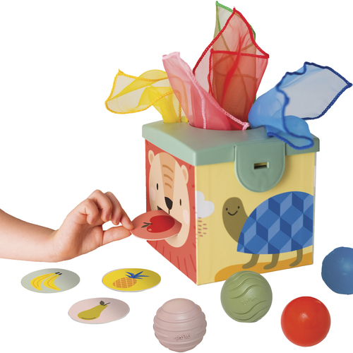 TAF Toys Magic Box Interactive Infant/Baby Toy 12m+