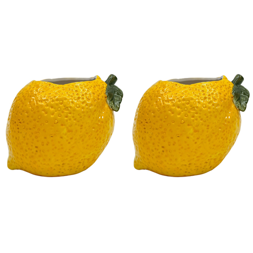 2PK Urban Lemon Planter Yellow 13cm Home Decorative Garden Decor