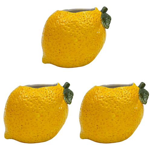 3PK Urban Lemon Planter Yellow 13cm Home Decorative Garden Decor