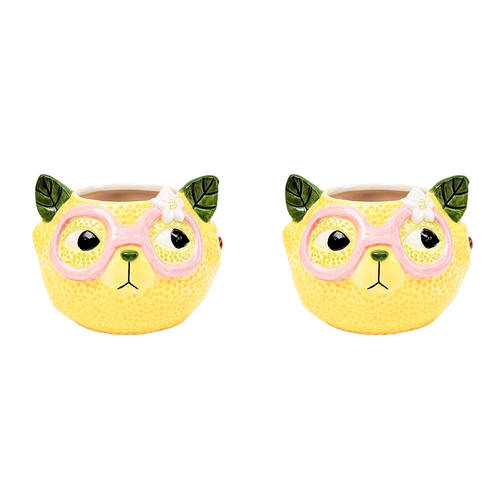 2PK Urban Products Tropicana Cat Lemon Planter Yellow 9cm