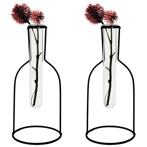 2PK Urban Products Kinkora Bottle Frame Glass Test Tube Vase