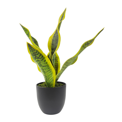 Urban Mother in-Laws Tongue 34cm Artificial Potted Plant - Green