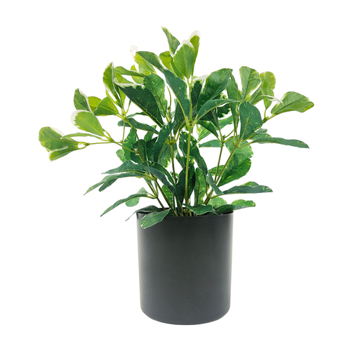 Urban Variegated Polyscias 31cm Artificial Potted Plant - Green