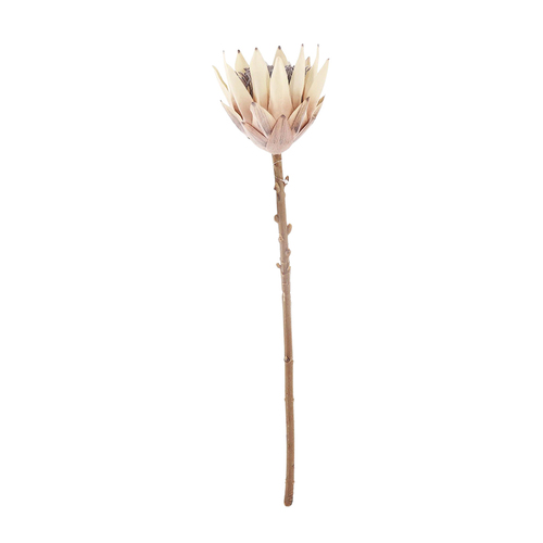 Urban Dried Look Artificial Flower 51cm King Protea Open Stem - Natural