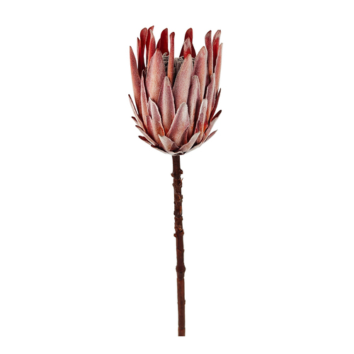 Urban Dried Look Artificial Flower 53cm King Protea Closed Stem - Natural