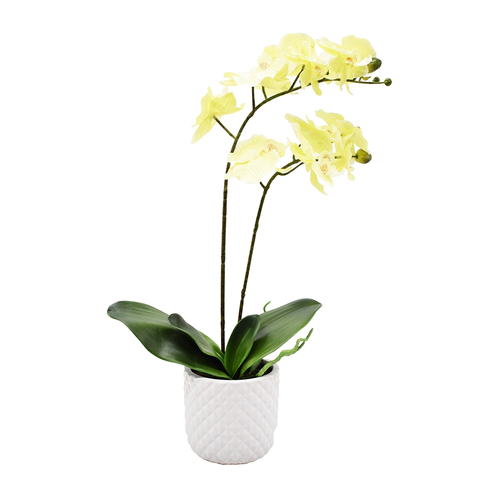 Urban Potted Artificial 51cm Orchid Flower Plant - Cream