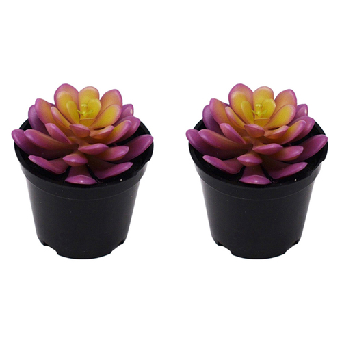 2x Urban Potted Artificial 9cm Hens Chicks Succulent Plant - Pink