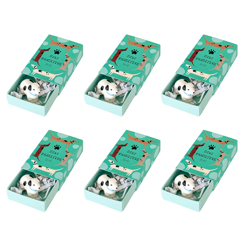 6PK Urban Pawsitive Dog Matchbox Memory Turquoise Gift Keepsake Present