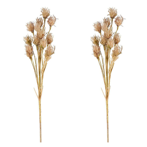 2PK Belle Wheat Flower Stem 75cm Artificial Plant - Brown