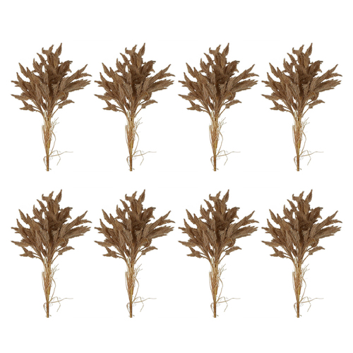 8PK Belle Dried Look Wheat Grass Stem 80cm Artificial Faux Plant - Brown