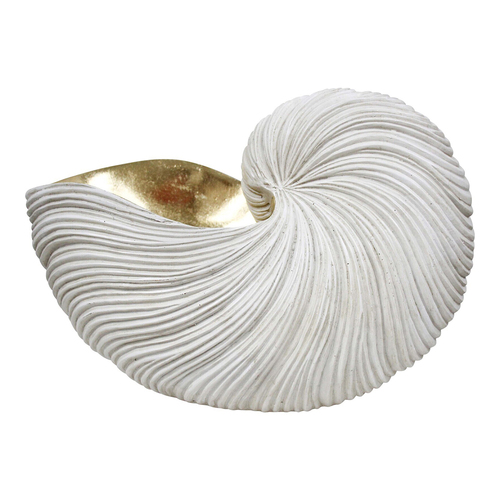 LVD Decorative Resin 35cm Nautilus Shell XL - Aged White/Gold